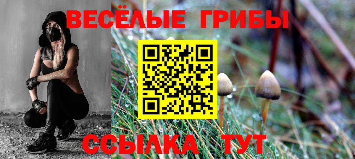 Мценск  Галлюциногенные грибы Cubensis  Вход с VPN  наркотики  Галлюциногенные грибы Psilocybine cubensis 